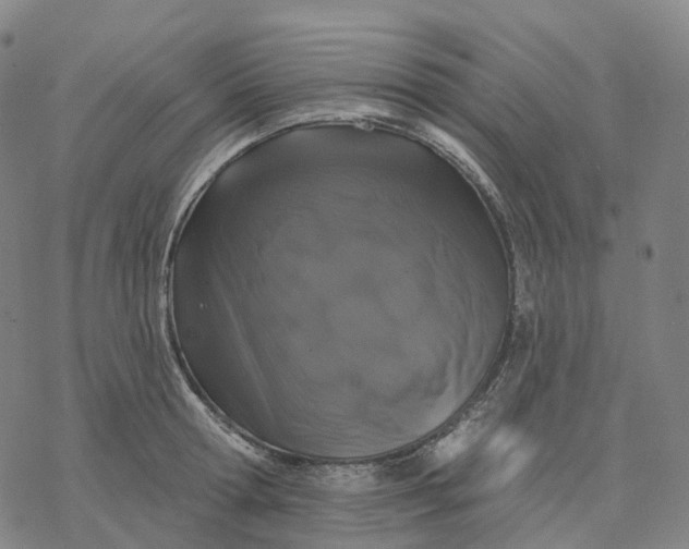 X0000076420802200610271706