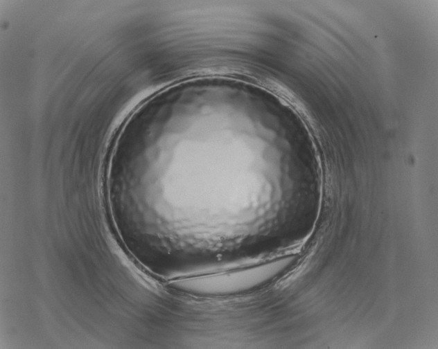 X0000076420803200610271706