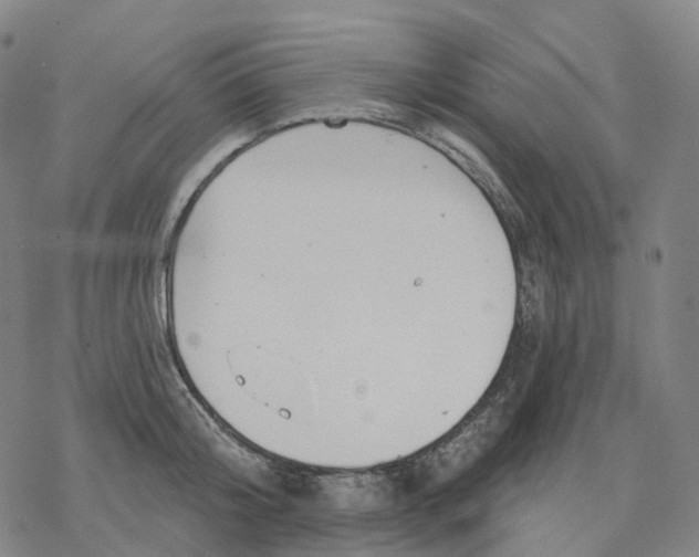 X0000076420804200610271706