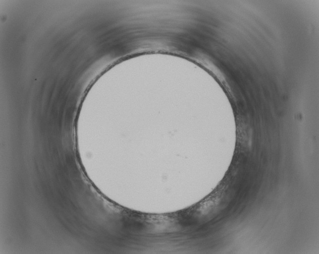 X0000076420807200610271706