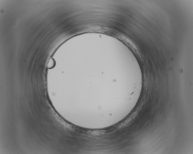 X0000076420808200610271706