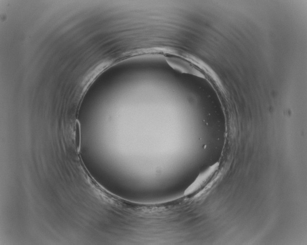 X0000076420809200610271706