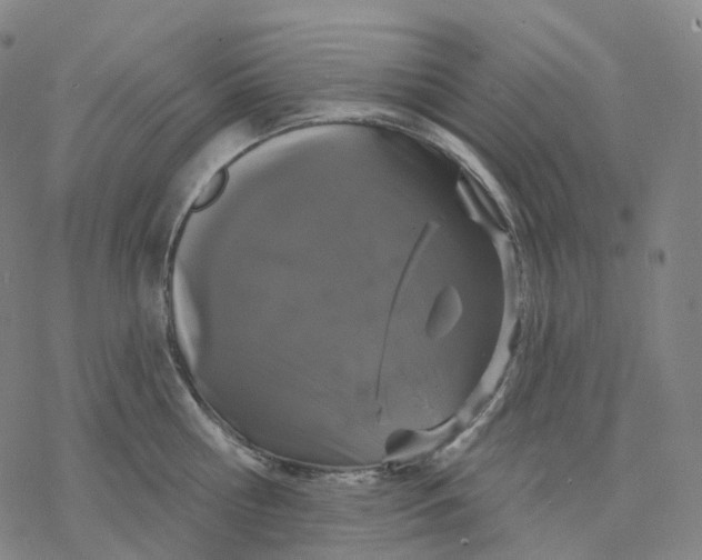 X0000076420810200610271706