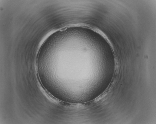 X0000076420811200610271706