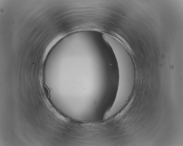 X0000076420812200610271706