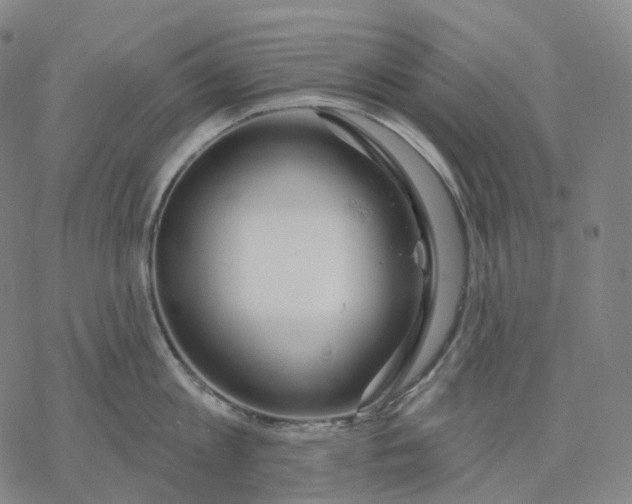 X0000076420813200610271706