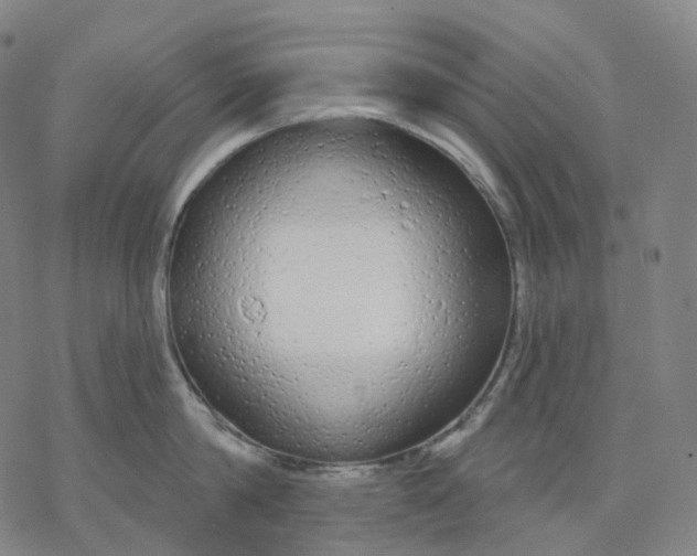 X0000076420814200610271706