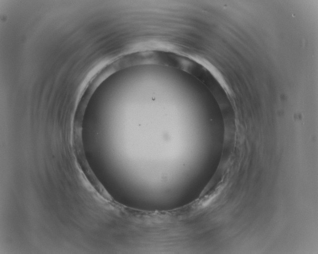 X0000076420815200610271706