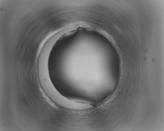 X0000076420816200610271706