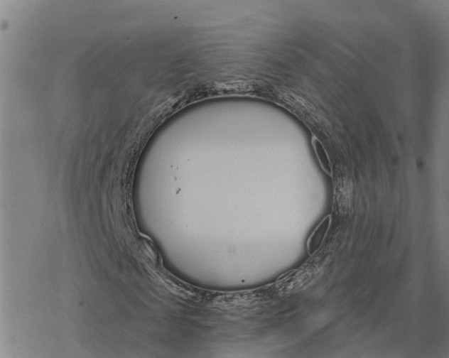 X0000076420817200610271705