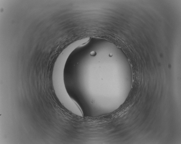 X0000076420818200610271705