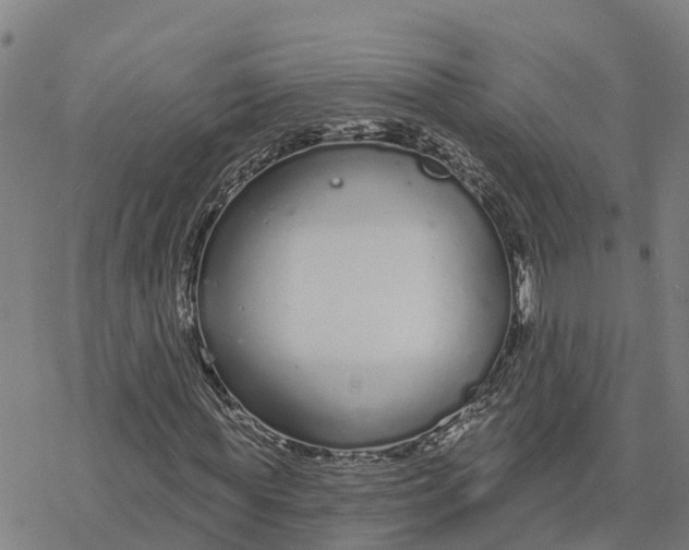 X0000076420819200610271705