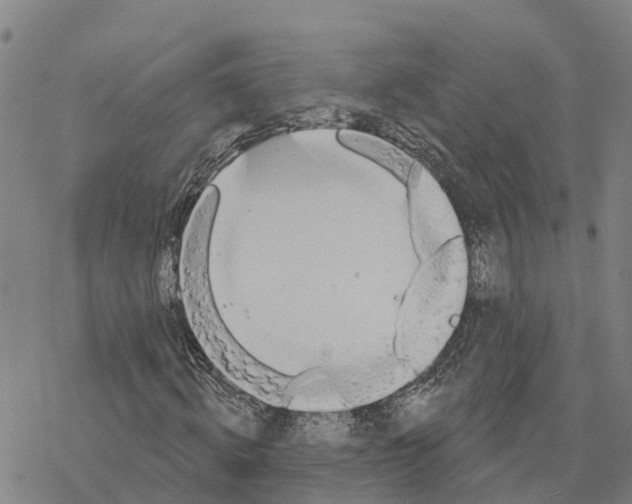 X0000076420820200610271706