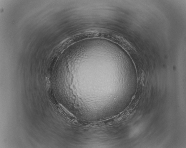 X0000076420821200610271706