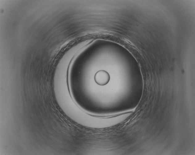 X0000076420822200610271706