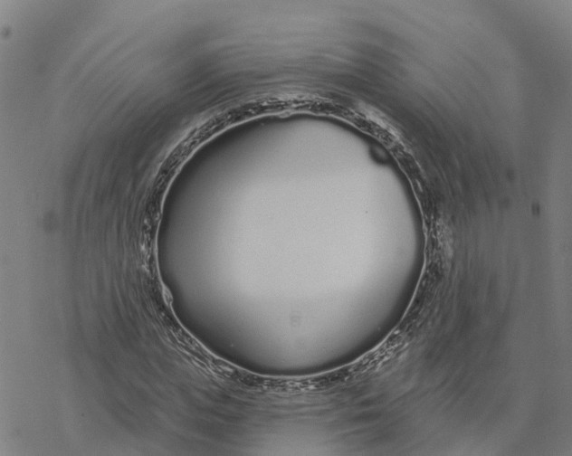 X0000076420823200610271706