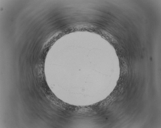 X0000076420824200610271706