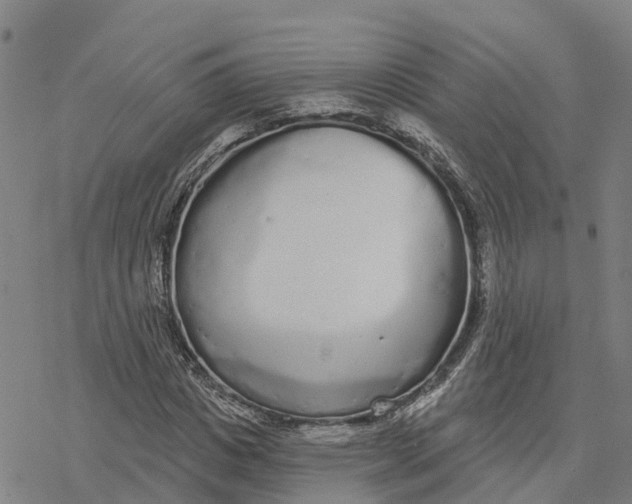 X0000076420825200610271706