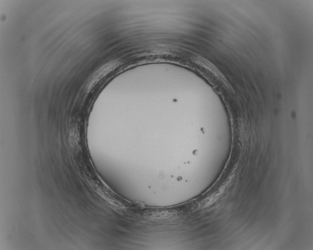 X0000076420826200610271706