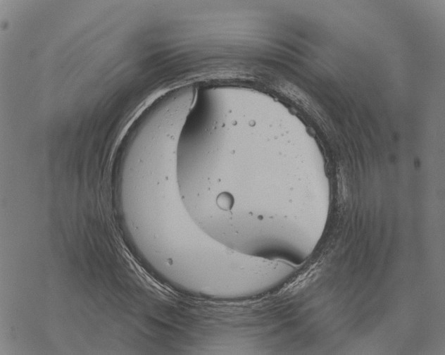 X0000076420828200610271706