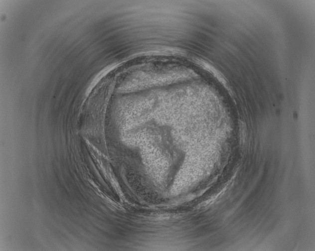 X0000076420829200610271706