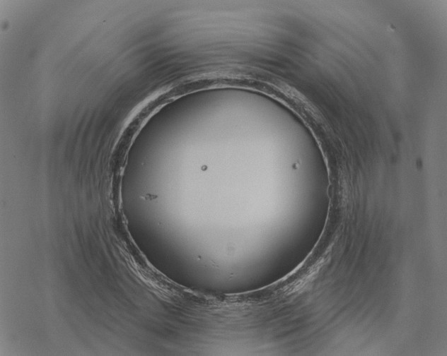 X0000076420830200610271706