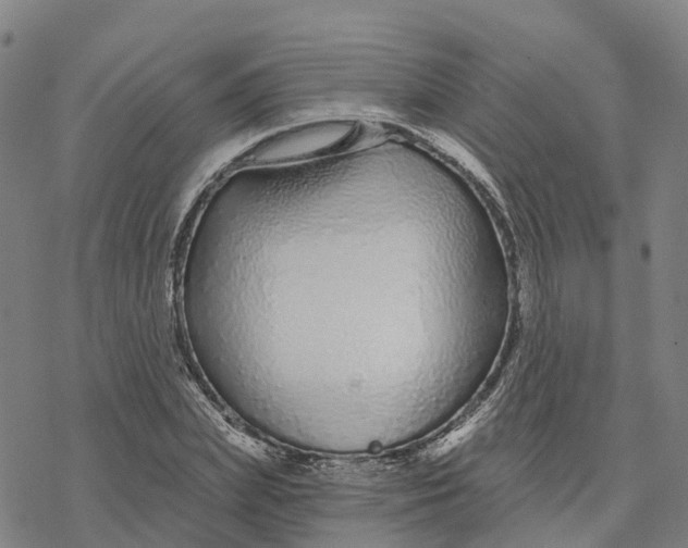 X0000076420831200610271706