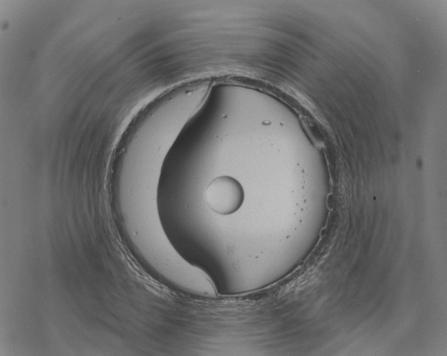 X0000076420832200610271706