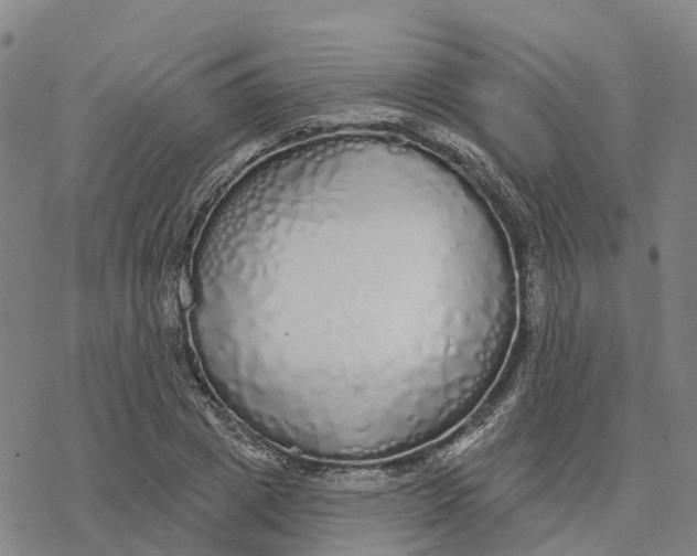 X0000076420833200610271706