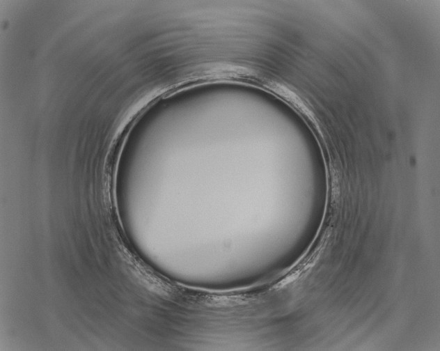 X0000076420835200610271706