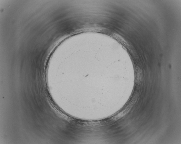 X0000076420836200610271706