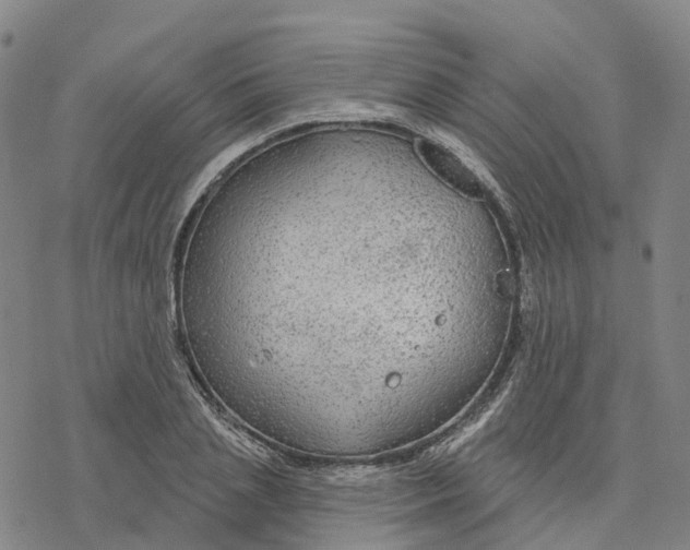 X0000076420837200610271706