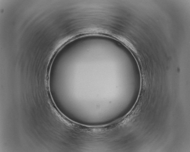 X0000076420839200610271706