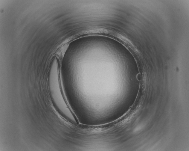 X0000076420841200610271706