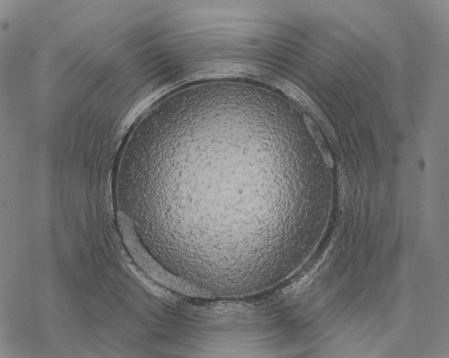 X0000076420842200610271706