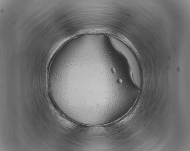 X0000076420844200610271706