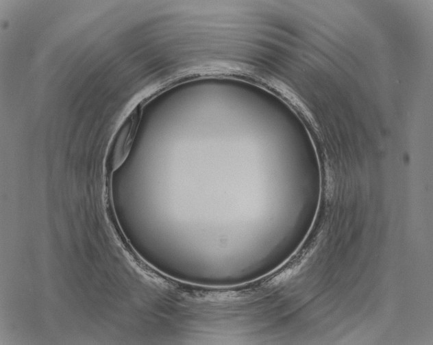 X0000076420845200610271706