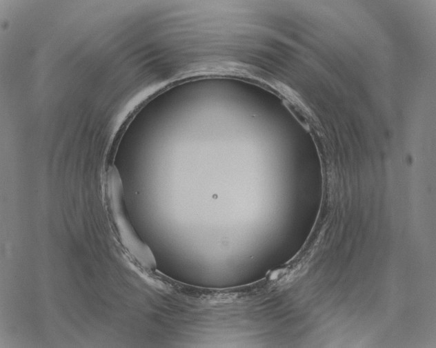 X0000076420846200610271706