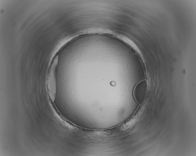 X0000076420847200610271706