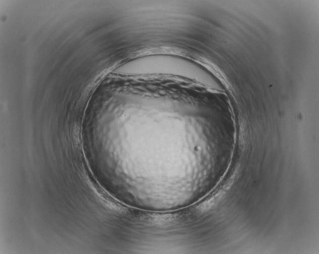 X0000076420849200610271706