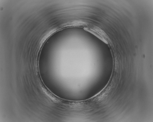 X0000076420850200610271706