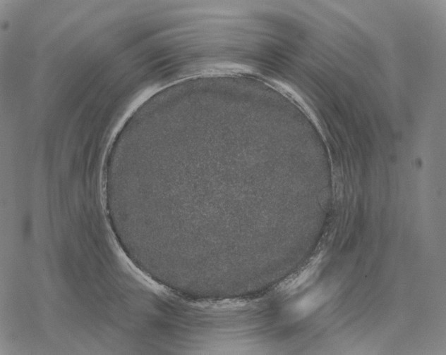 X0000076420851200610271706