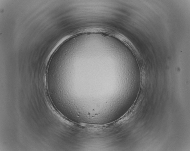 X0000076420852200610271706