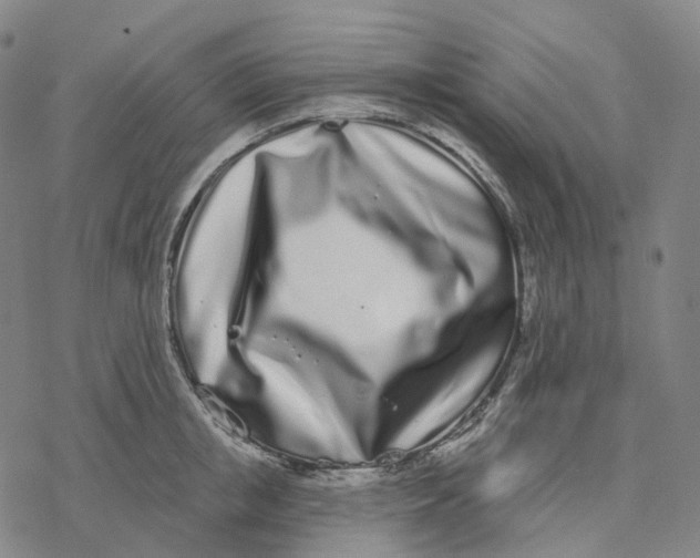 X0000076420853200610271706