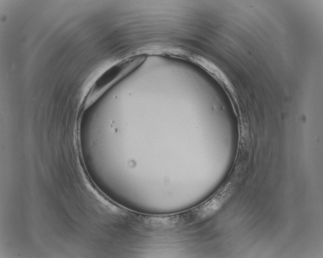 X0000076420855200610271706