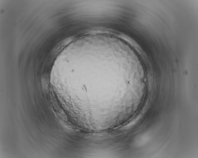 X0000076420857200610271706