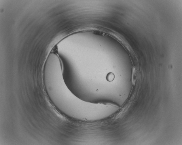 X0000076420858200610271706