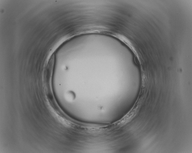 X0000076420859200610271706