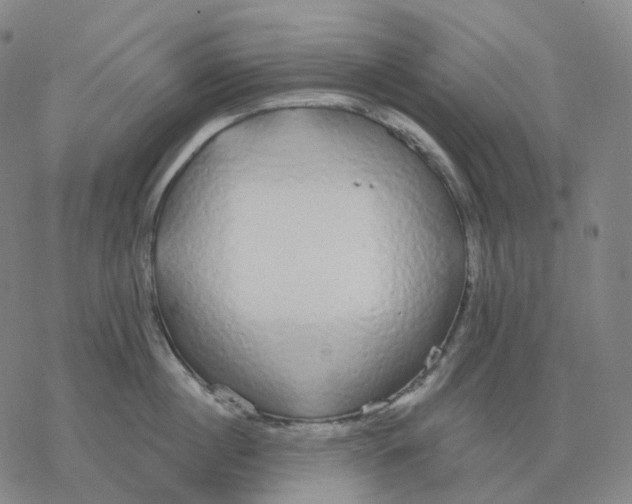 X0000076420860200610271706