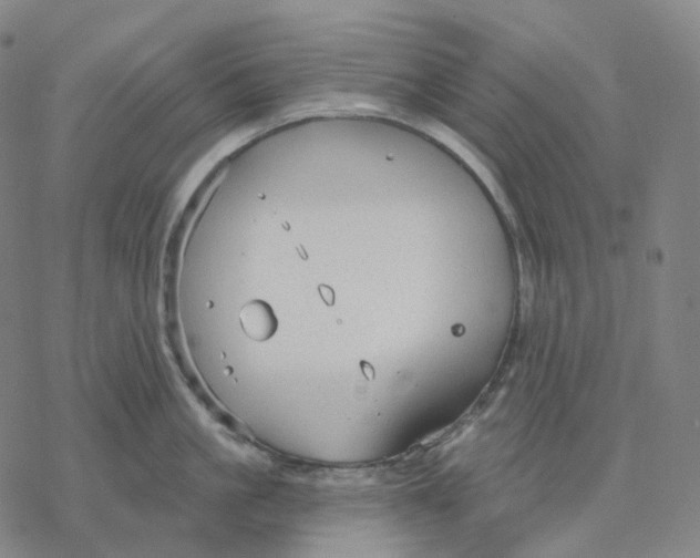 X0000076420861200610271706